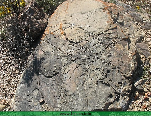rutgaler033a.jpg