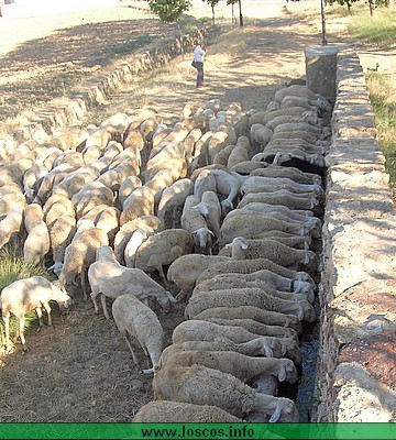 rutgaler034.JPG